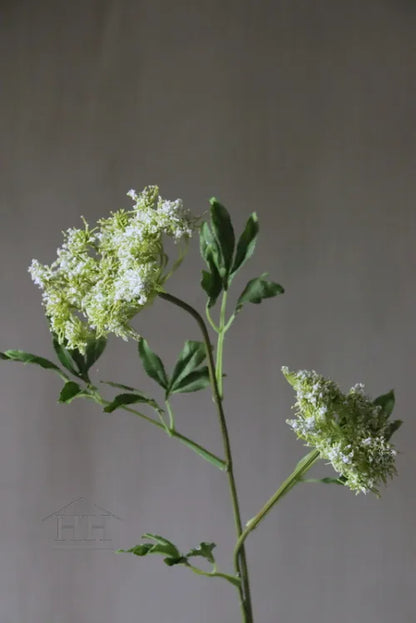 Kunstbloem Queen Ann Lace wit 90 cm