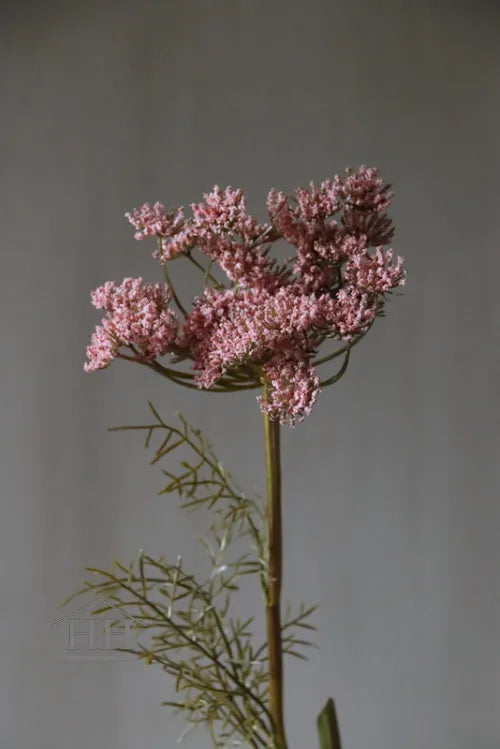 Kunstbloem Queen Anne's Lace roze 81 cm