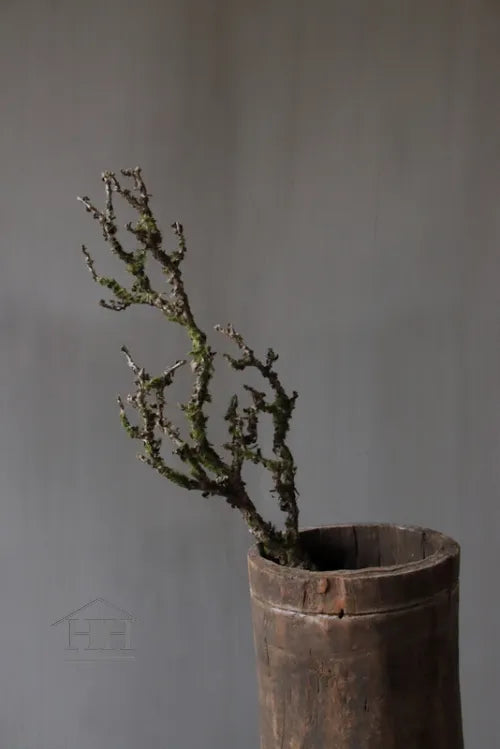 Kunsttak met mos klein