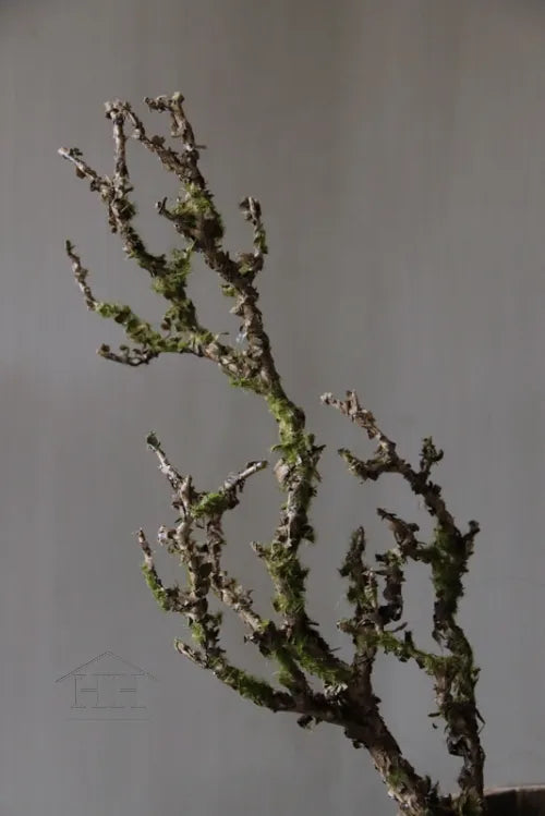 Kunsttak met mos klein