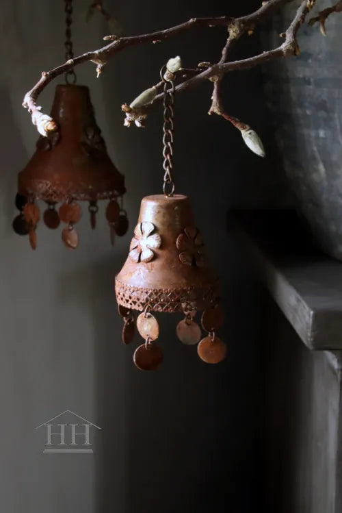 Roestige decobel Rani S