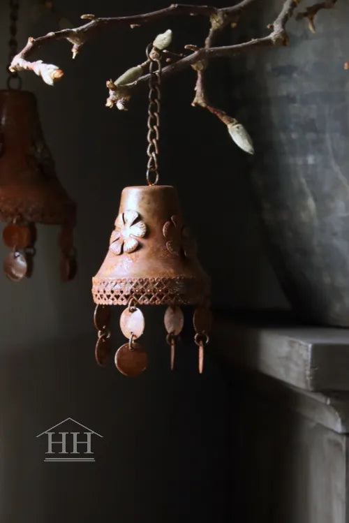 Roestige decobel Rani S