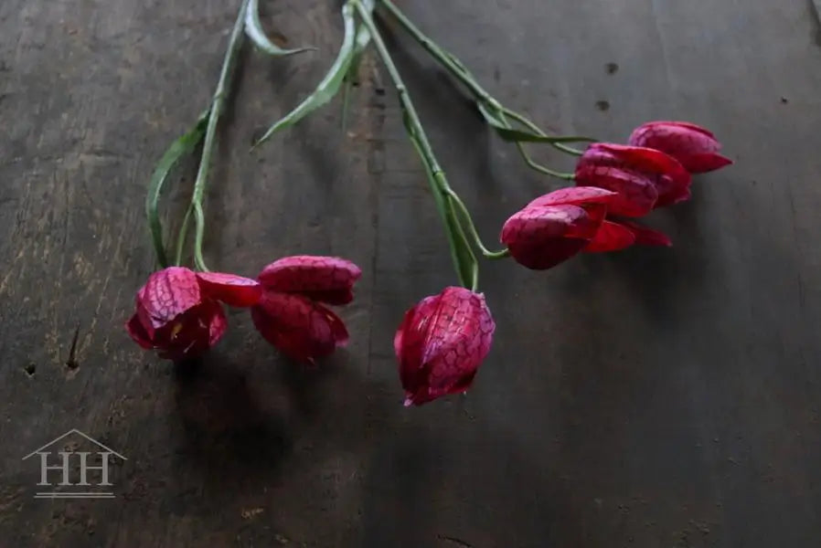 Roze kievitsbloem met realistische bloemen