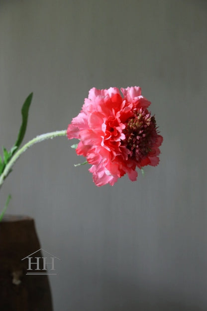 Roze kunstbloemen scabiosa | Duifkruid zijden bloemen