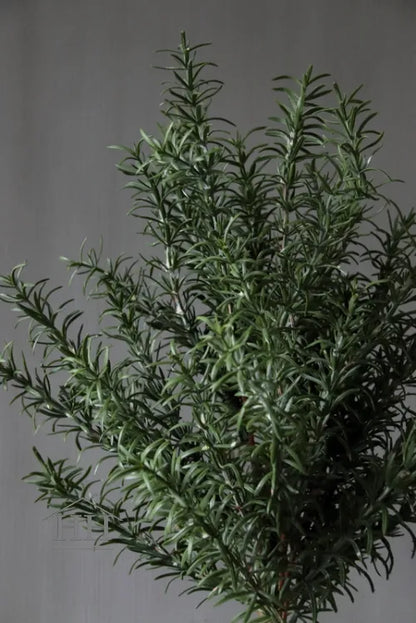 Kunst rozemarijn boompje op stam in binnenpot 65cm