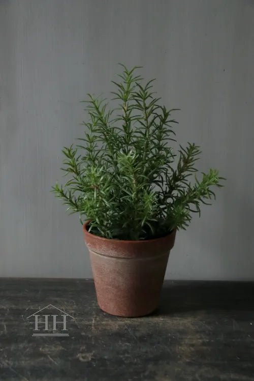 Rozemarijn kunstplant 28cm in binnenpot