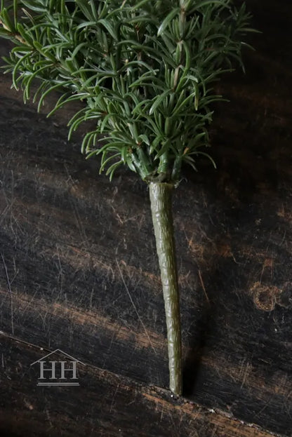 Rozemarijn kruidenplantje op steker 32cm