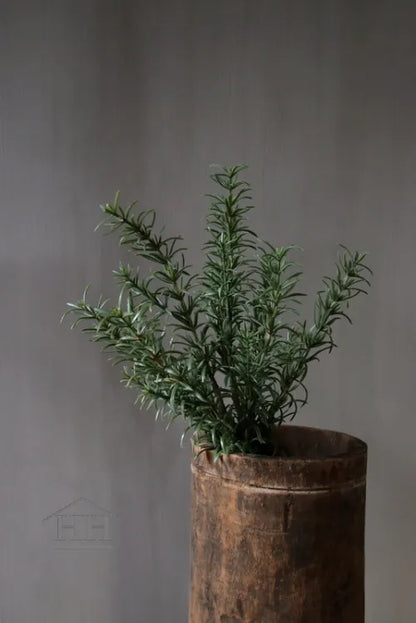 Rozemarijn kruidenplantje op steker 32cm