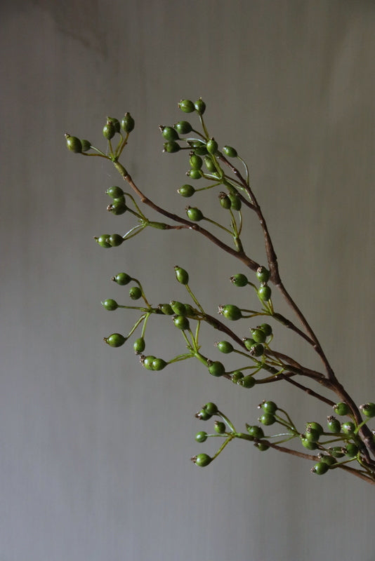 Rozenbottel kunst groen