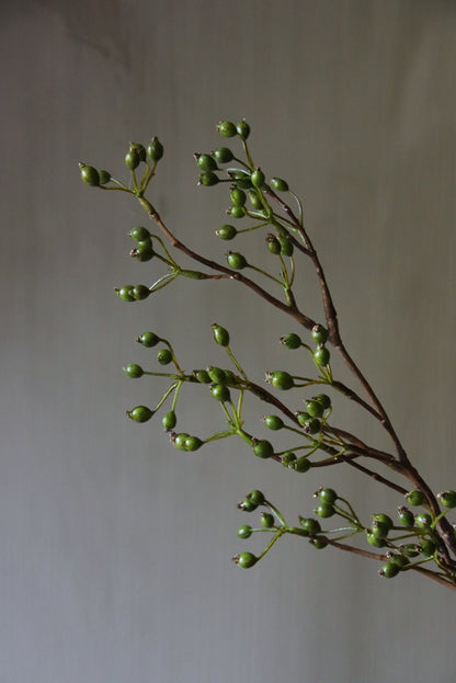 Rozenbottel kunst groen