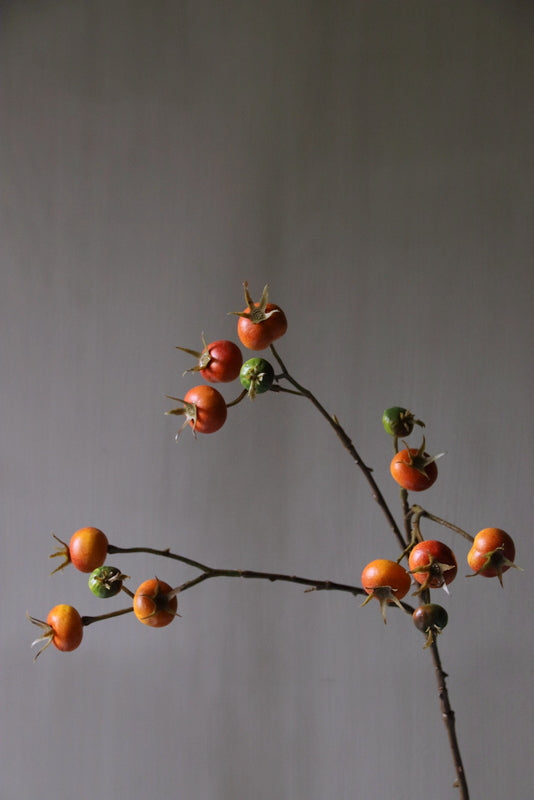 Rozenbottel kunsttak oranje landelijke stijl