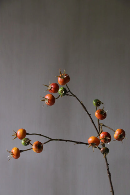 Rozenbottel kunsttak oranje landelijke stijl