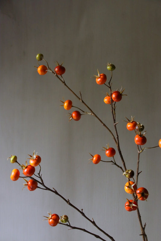 rozenbottel tak oranje
