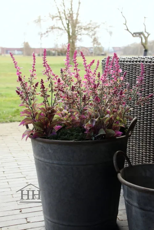 Künstlicher Salbei im rosa Topf