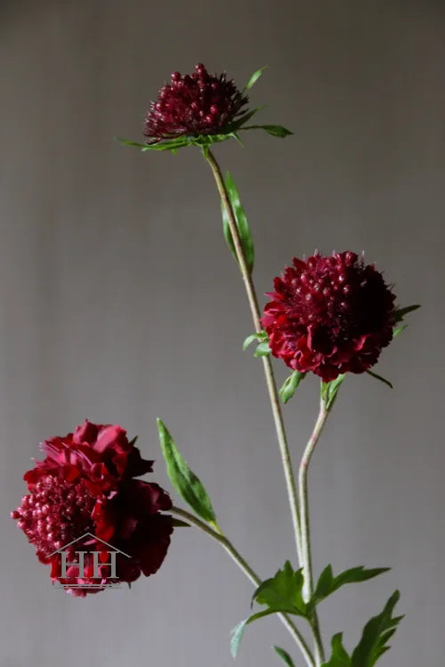 Kunstbloem scabiosa bordeaux rood 76 cm
