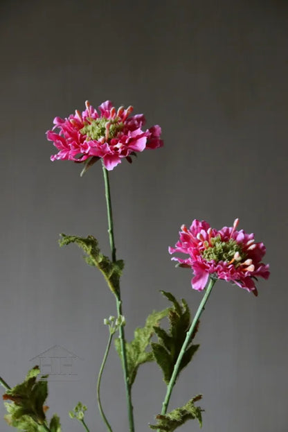 Kunstbloem scabiosa fel roze 66 cm