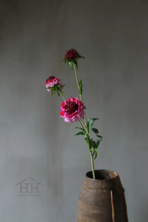 Kunst scabiosa roze/bordeaux