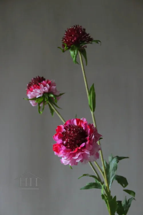 Künstliche Scabiosa rosa/bordeaux