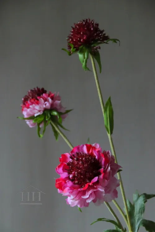 Künstliche Scabiosa rosa/bordeaux