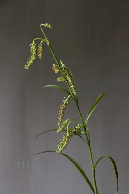 Kunst siergrastak met zaadknoppen 90cm