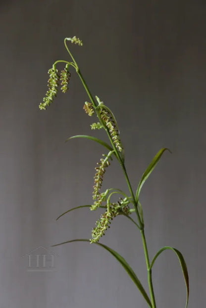 Kunst siergrastak met zaadknoppen 90cm