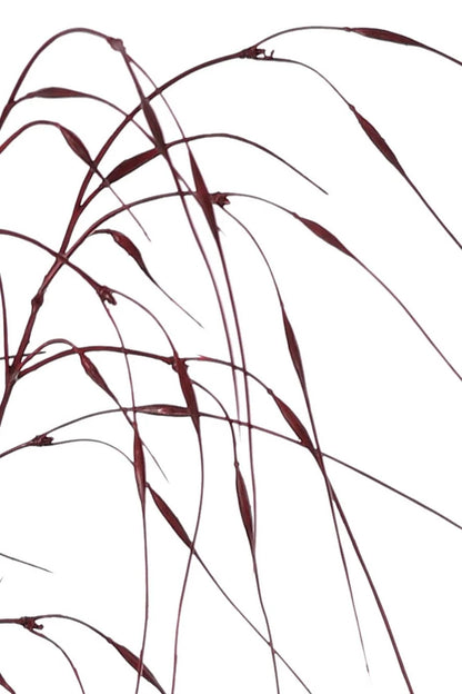 Siergras kunsttak bordeauxrood - 78 cm