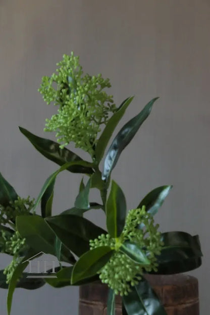 Kunstbloem Skimmia groen 48 cm