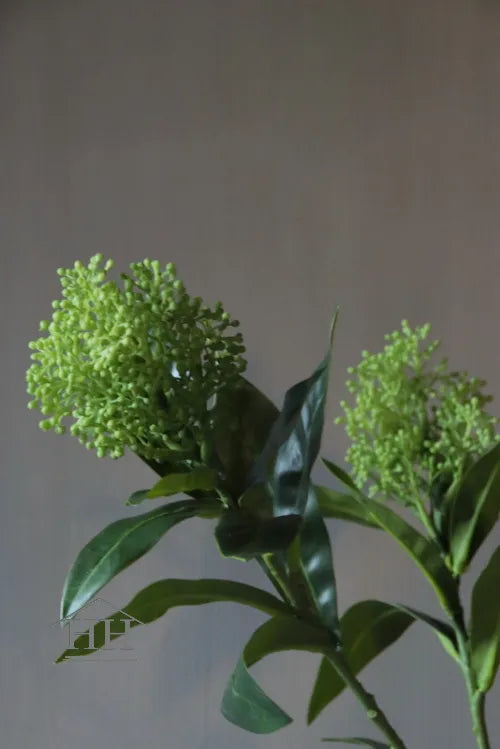 Kunstbloem Skimmia groen 72 cm