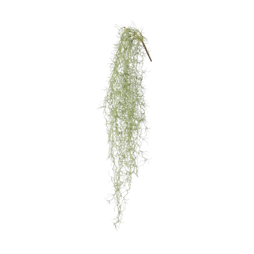 Spanisches Moos Tillandsia 86 cm Hängepflanze