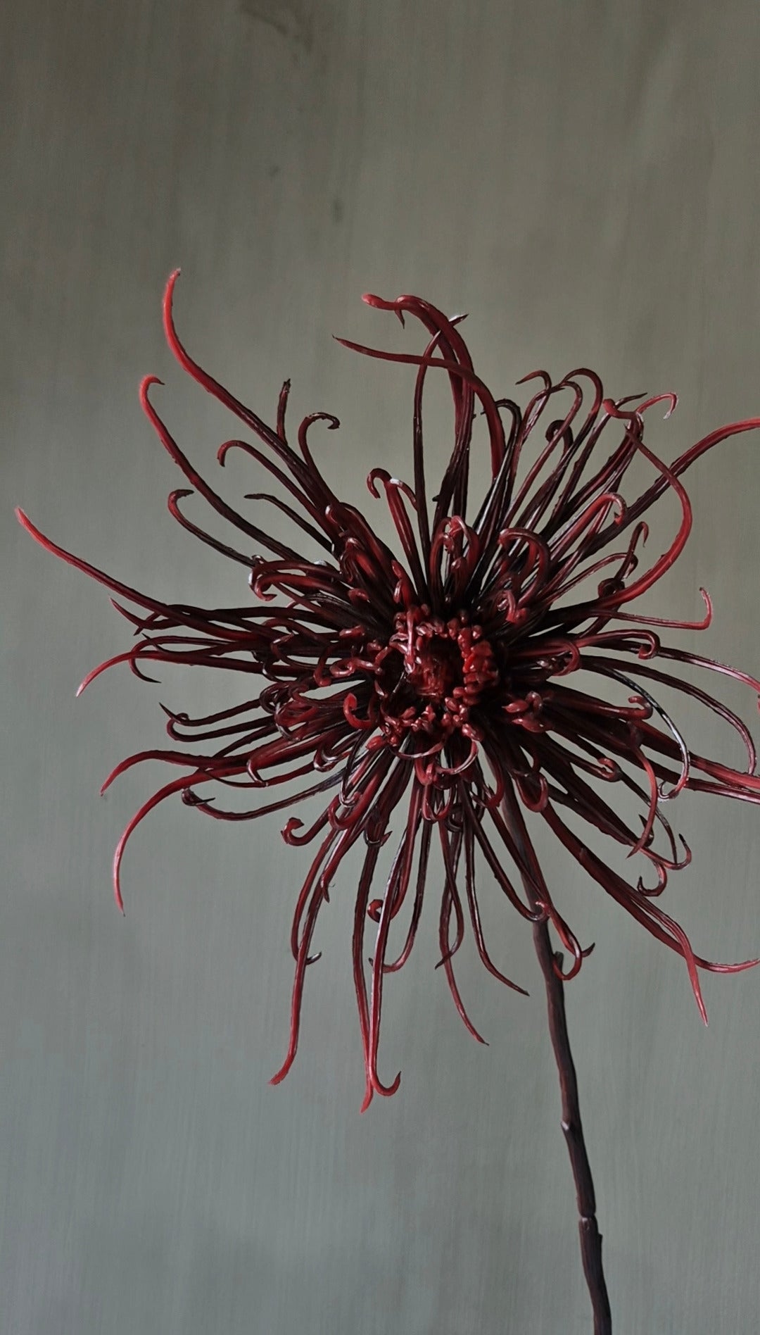 Spinchrysant kunsttak bordeauxrood - 75 cm