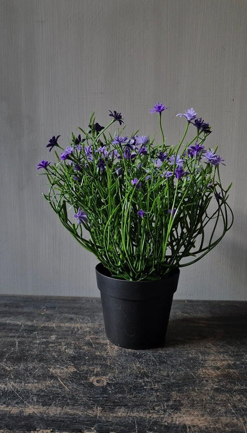 Paarse sterbloem kunstplant in pot 25 cm