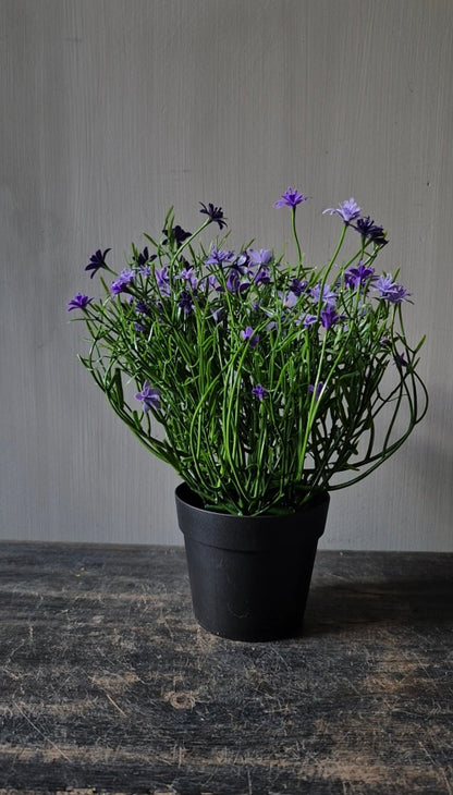 Paarse sterbloem kunstplant in pot 25 cm