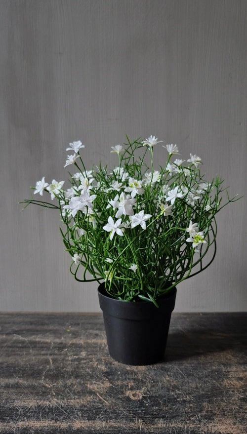 Witte sterbloem kunstplant in pot - 25 cm