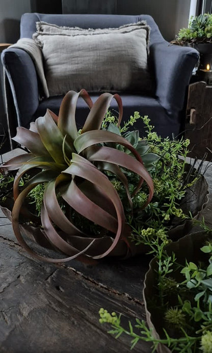 Kunst tillandsia vetplant bruin