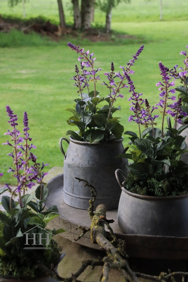 Zinc pot with handle M (middle)