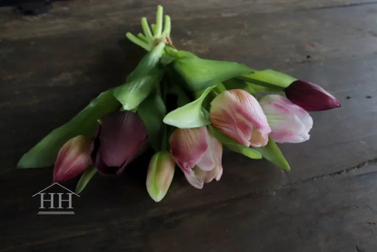 Middelmaat tulpen mix paars