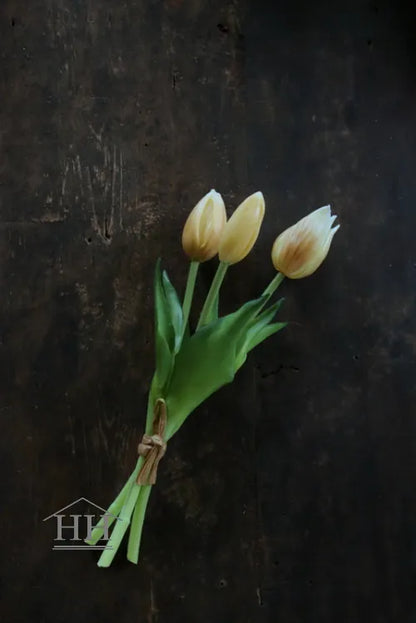 Short fake tulips champagne - 25 cm 3 stems