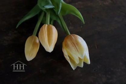 Short fake tulips champagne - 25 cm 3 stems