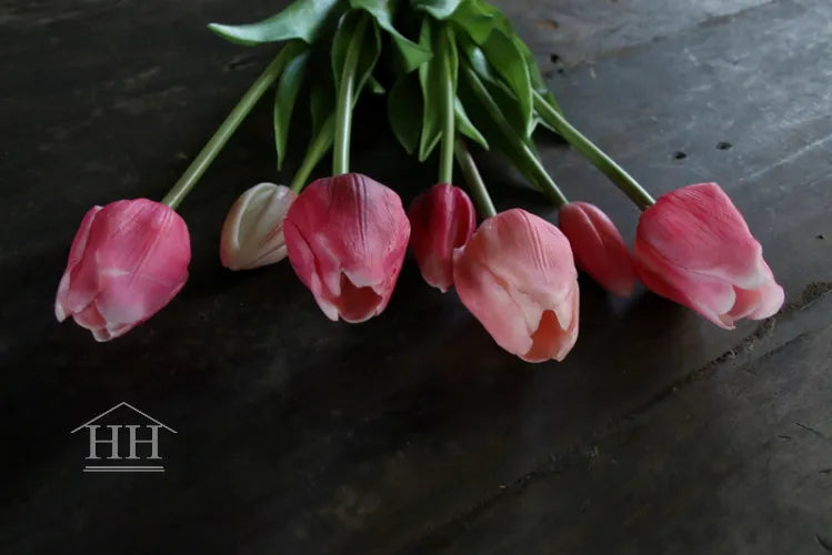 Lange tulpen fuchsia mix - 47 cm