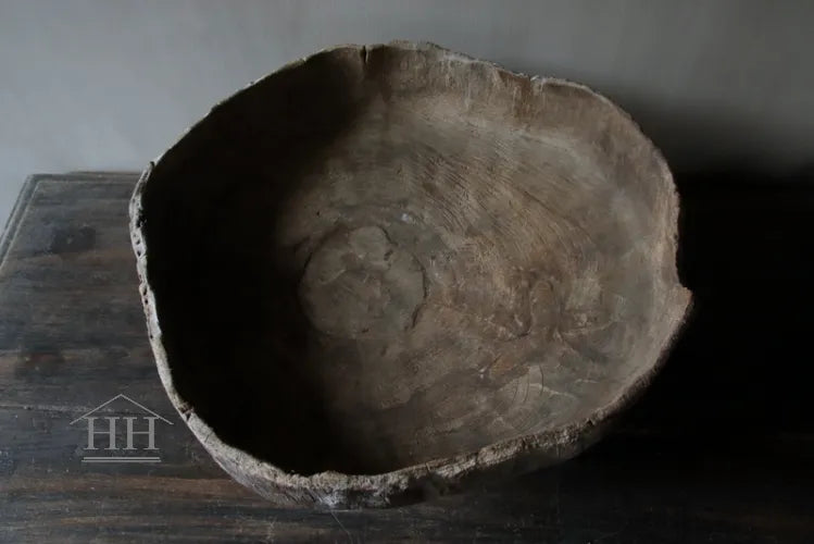 Unieke schaal Susi op voet - Luksa (nr 1)