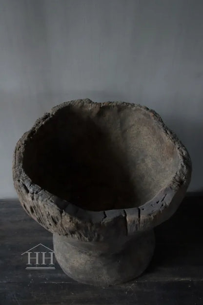 Vergrijsde vijzel Luksa (A1)