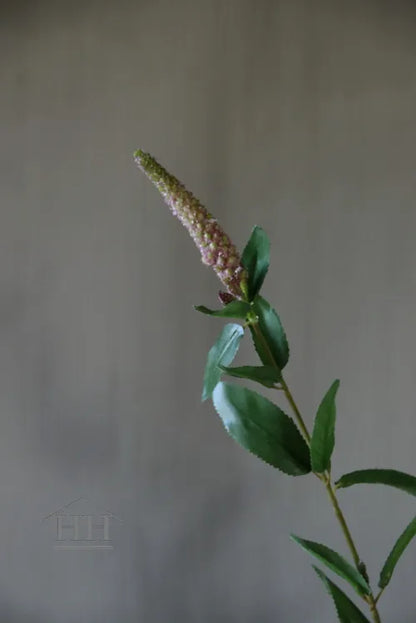 Kunstbloem Veronica oud roze 67 cm