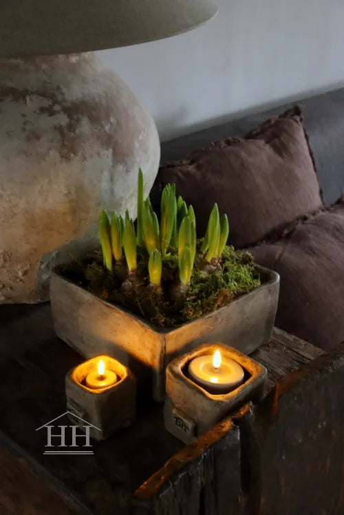 Betonnen bak vierkant XL eigen label Hillary'sHome