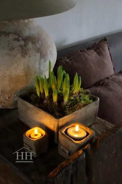 Betonnen bak vierkant XL eigen label Hillary'sHome