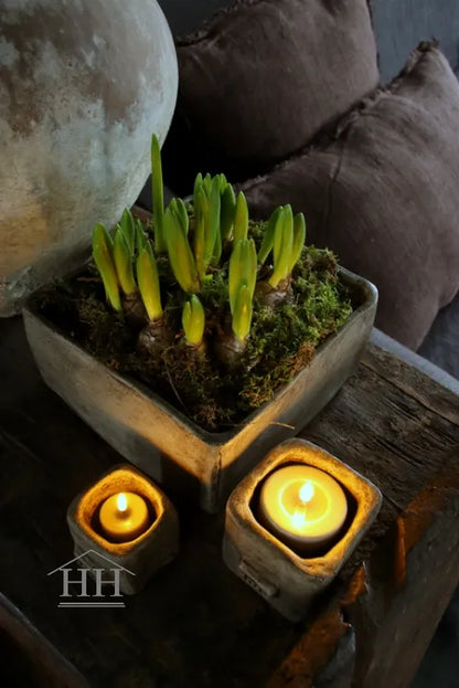 Betonnen bak vierkant XL eigen label Hillary'sHome