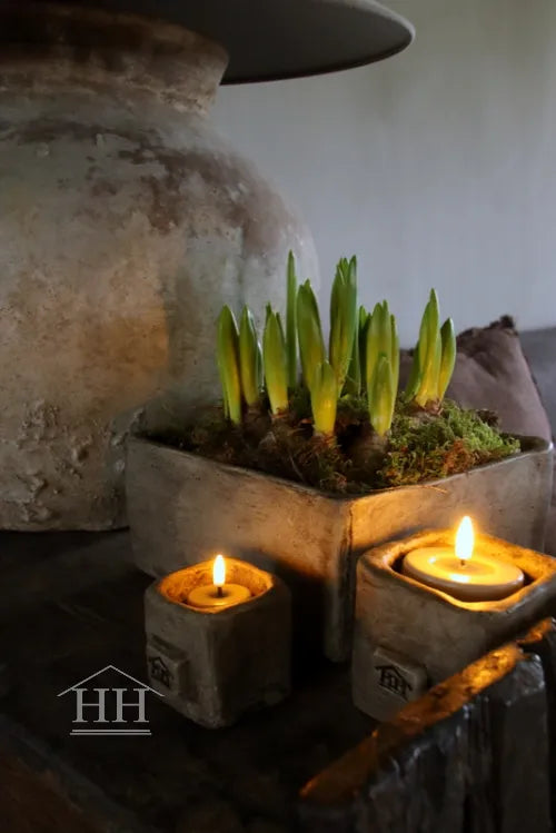 Betonnen bak vierkant XL eigen label Hillary'sHome