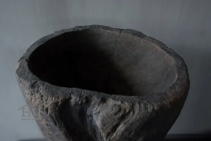 Vergrijsde vijzel Luksa (A6)