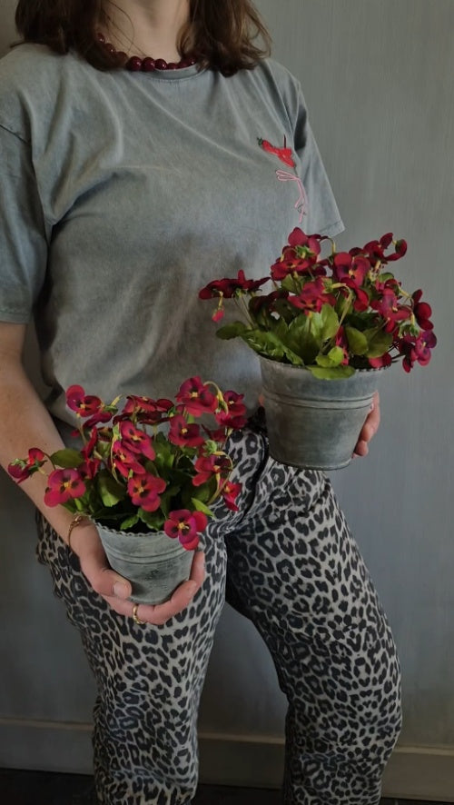 Set ronde zinken potjes met bordeaux viooltjes