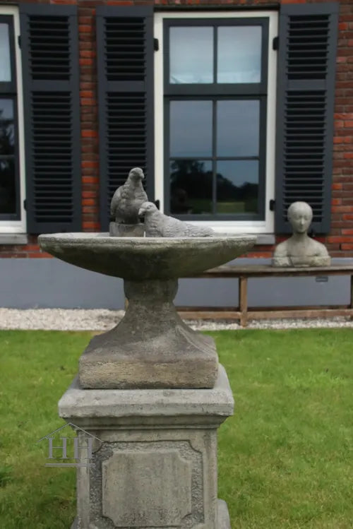 Betonnen vogelbad