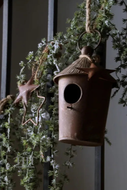 Zink-Vogelhausrost S